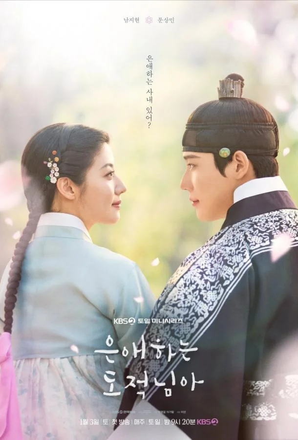 Сериал Мой любимый вор 2026 смотреть онлайн бесплатно в хорошем качестве